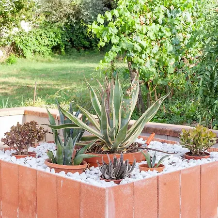 דירה Casa Dei Fiori *