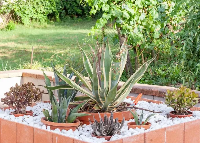 Apartmán Casa Dei Fiori *